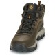 Columbia Newton Ridge Plus II Waterproof BM3970-232 Brown